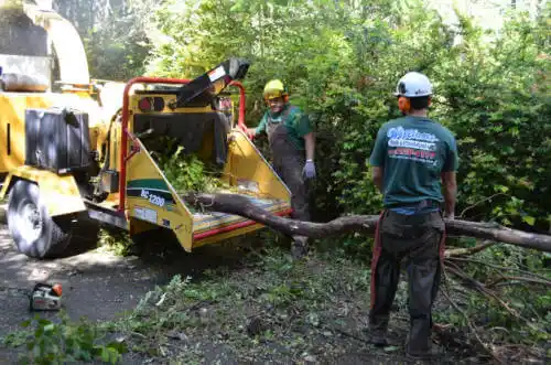 tree services Countryside